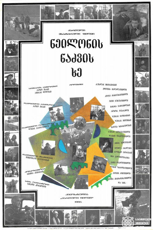 ნეილონის ნაძვის ხე (1985) poster