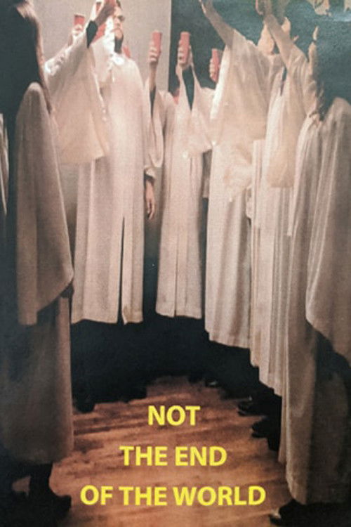 Not the End of the World (2013) poster