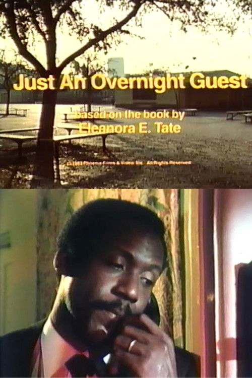 Just an Overnight Guest (1983) poster