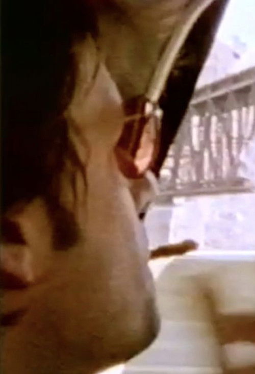 Seeing Through Paul (1999) poster