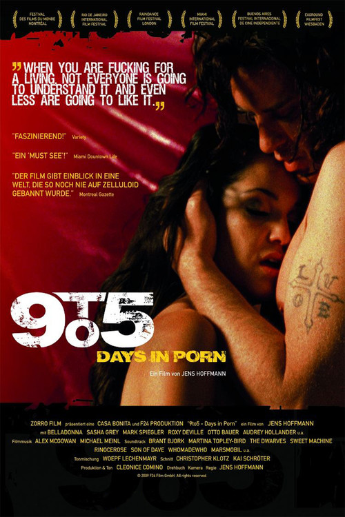 9to5: Days in Porn (2008) poster