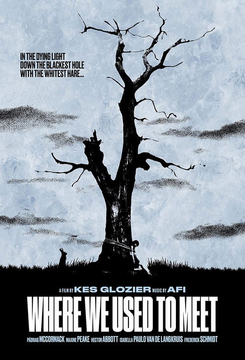 Where We Used to Meet (2021) poster