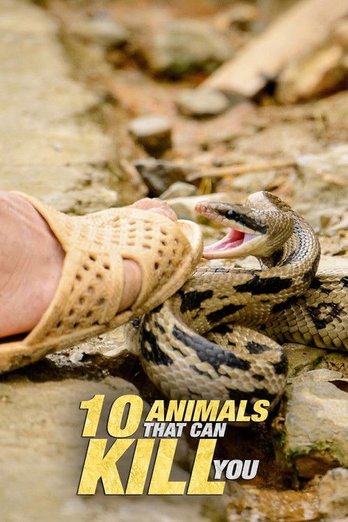 10 Animals That Will Kill You (2021) poster