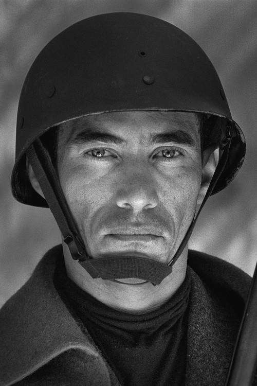 De Sentinela (1993) poster