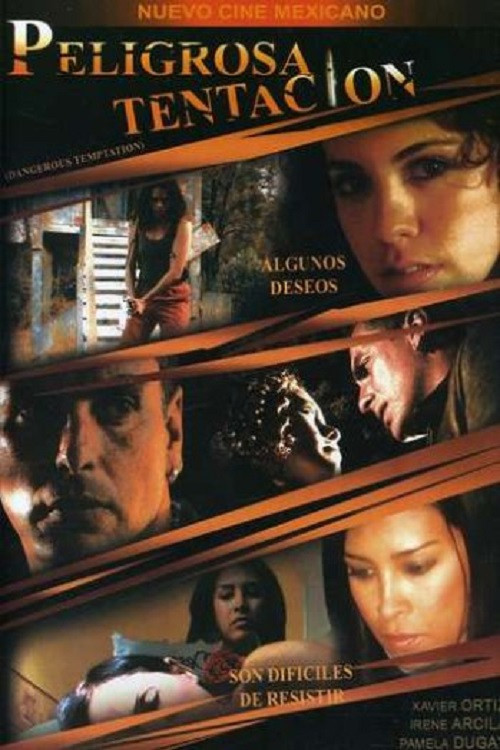 Peligrosa tentación (2008) poster