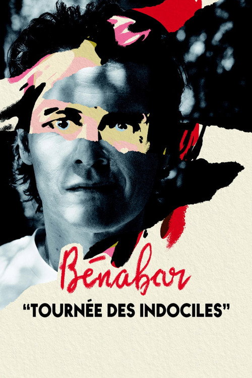 Bénabar - Tournée des indociles (2022) poster