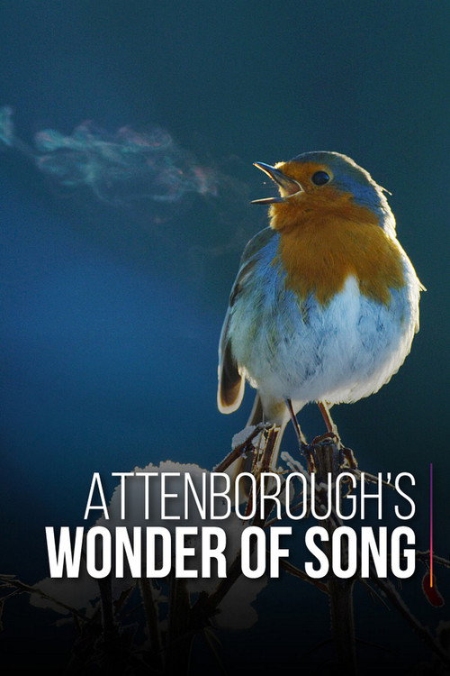 Attenborough'nun Şarkı Mucizesi (2022) poster