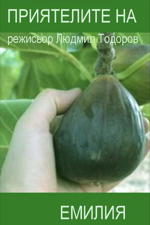 Emilia's Friends (1996) poster