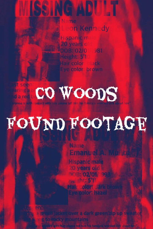 CO Woods (Found Footage) (2025) poster