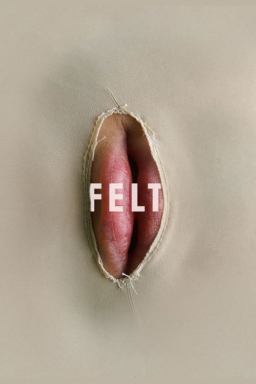 Felt (2014) poster
