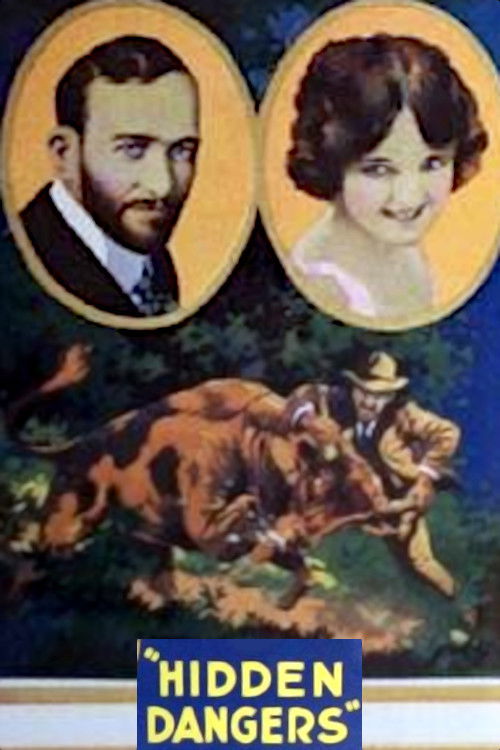 Hidden Dangers (1920) poster