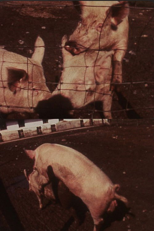 Slop Print (1973) poster