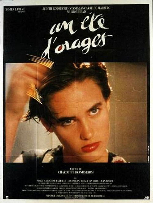 Stormy Summer (1989) poster