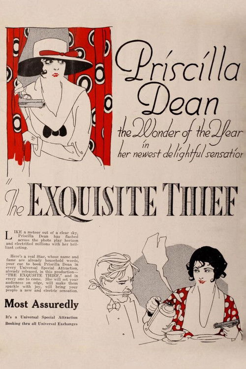 The Exquisite Thief (1919) poster