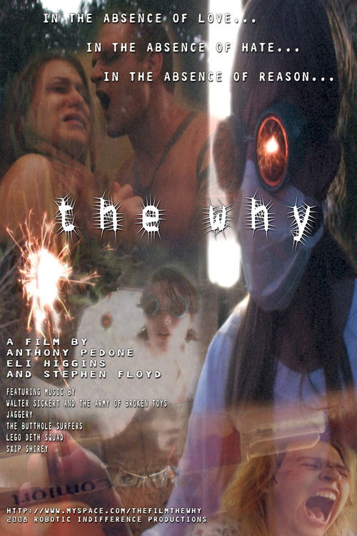 The Why (2009) poster