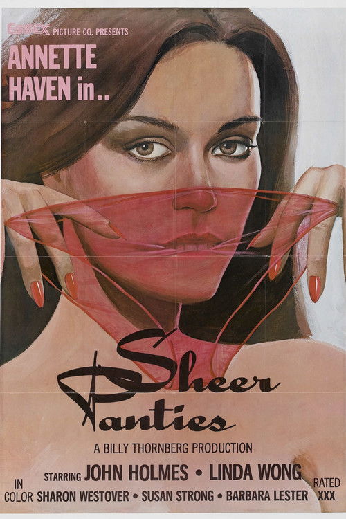 Sheer Panties (1979) poster