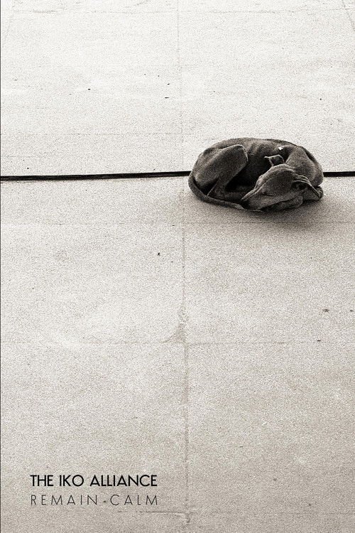 Remain Calm (2020) poster