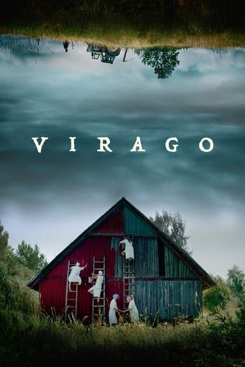 Virago (2019) poster