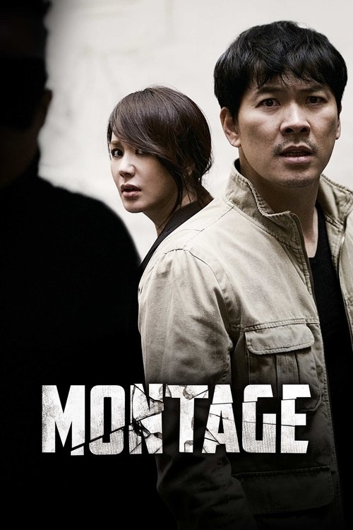 Montaj (2013) poster