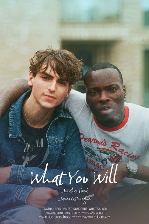 What You Will (2026) poster