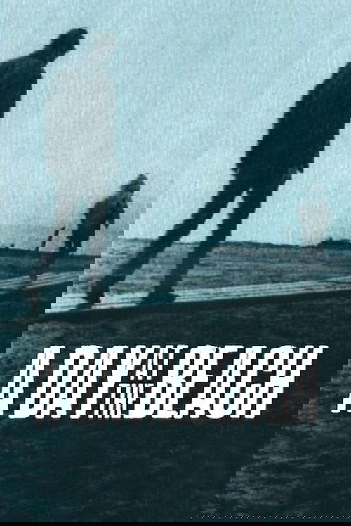 A Day at the Beach (1970) poster