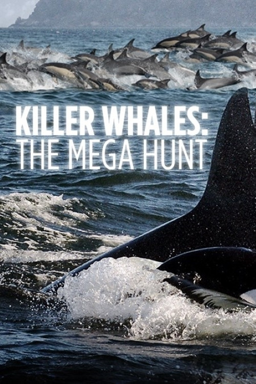 Killer Whales: the Mega Hunt (2016) poster