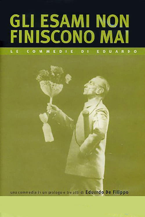 Gli esami non finiscono mai (1976) poster