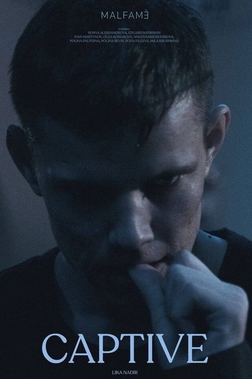 Captive (2024) poster