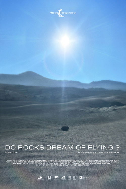 Do Rocks Dream of Flying ? (2025) poster