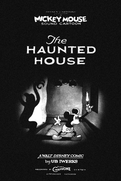 The Haunted House (1929) poster