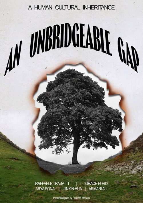 An Unbridgeable Gap (2025) poster