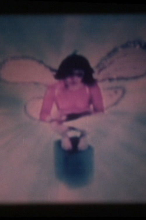 Pink Fairy (2007) poster