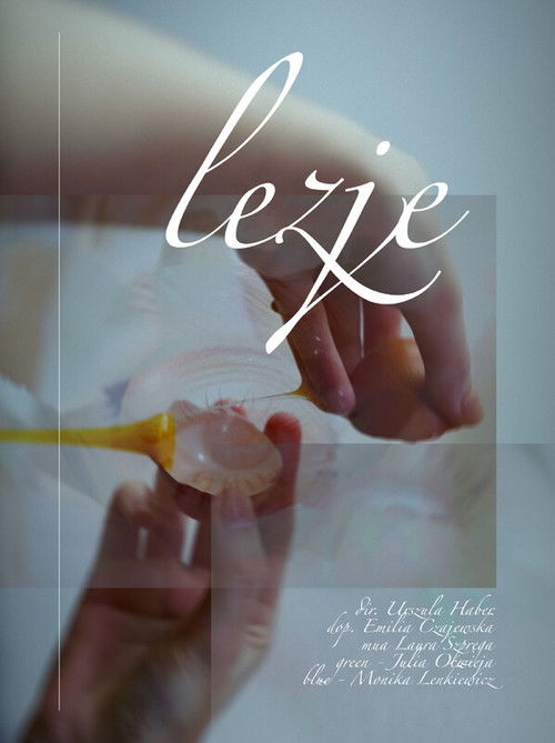 Lezje poster
