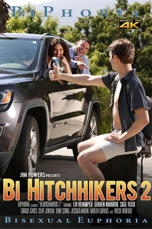 Bi Hitchhikers 2 (2025) poster