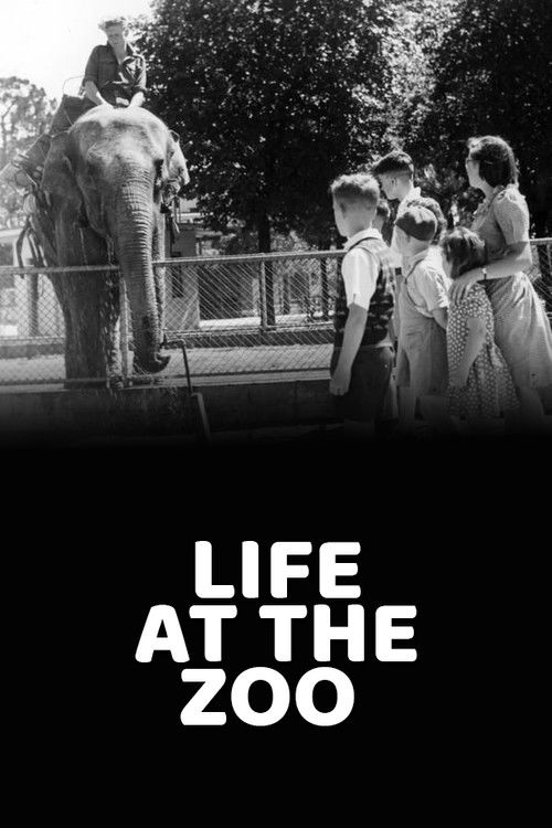 Life at the Zoo (1946) poster
