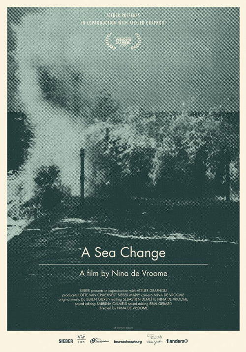 A Sea Change (2016) poster