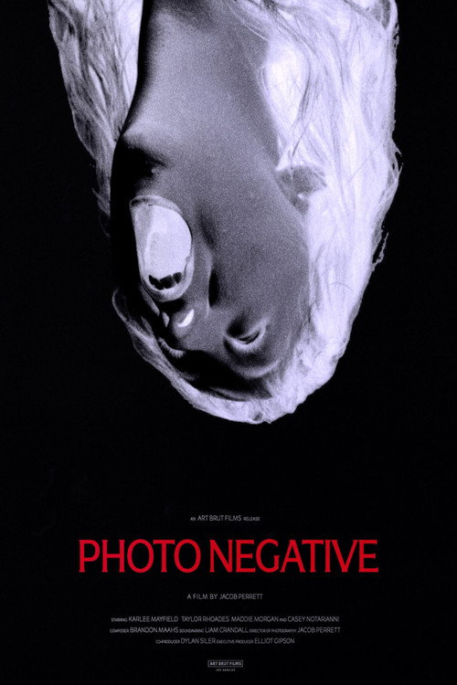 Photo Negative (2026) poster