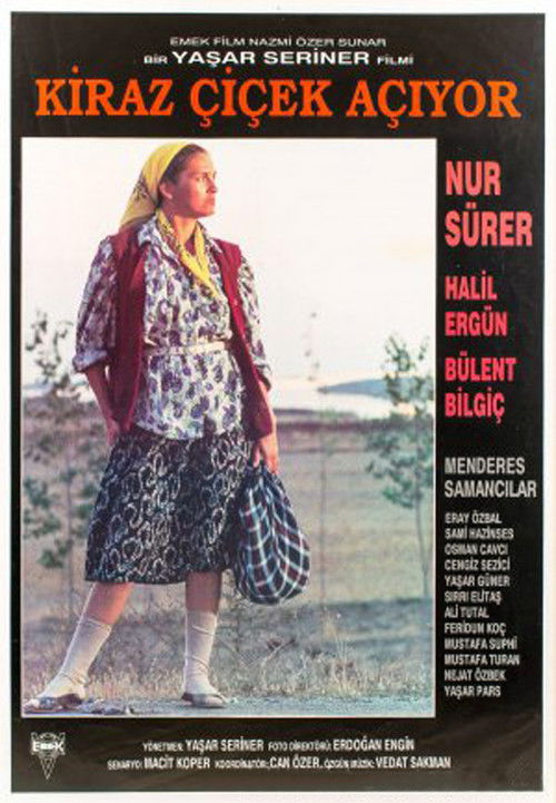 Cheery blossom time (1990) poster