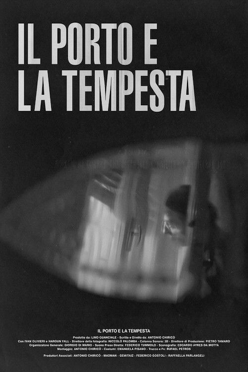 Il porto e la tempesta (2020) poster