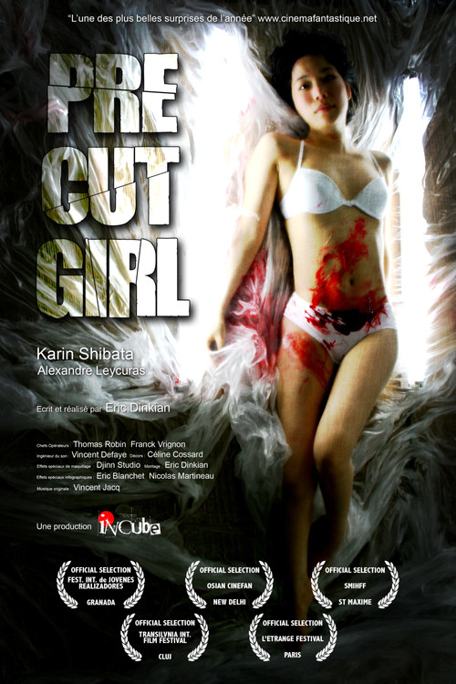 Precut Girl (2009) poster