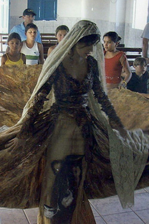 Viva o Cinema Brasileiro! (2008) poster