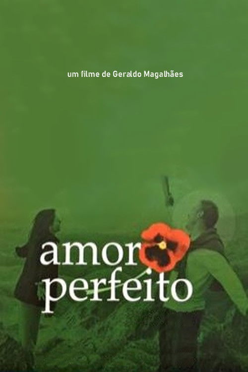 Amor Perfeito (2005) poster