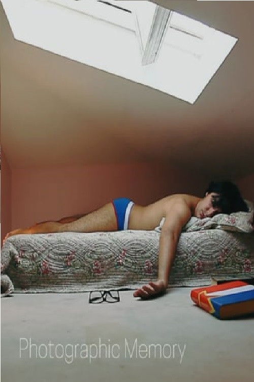 Photographic Memory (2012) poster