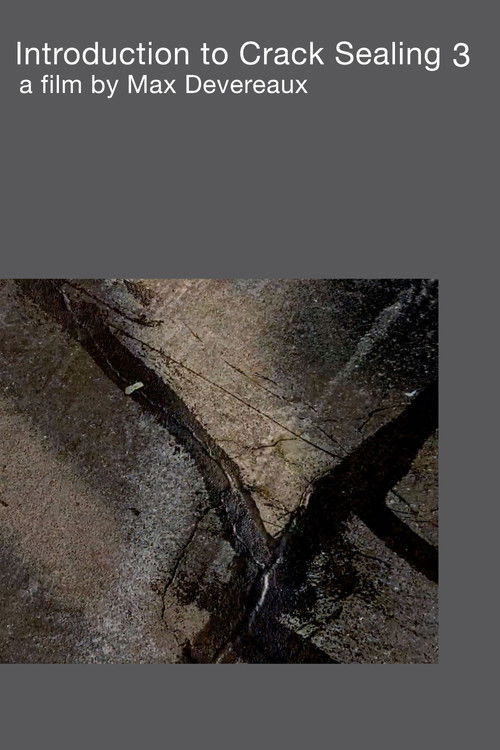 Introduction to Crack Sealing 3 (2023) poster