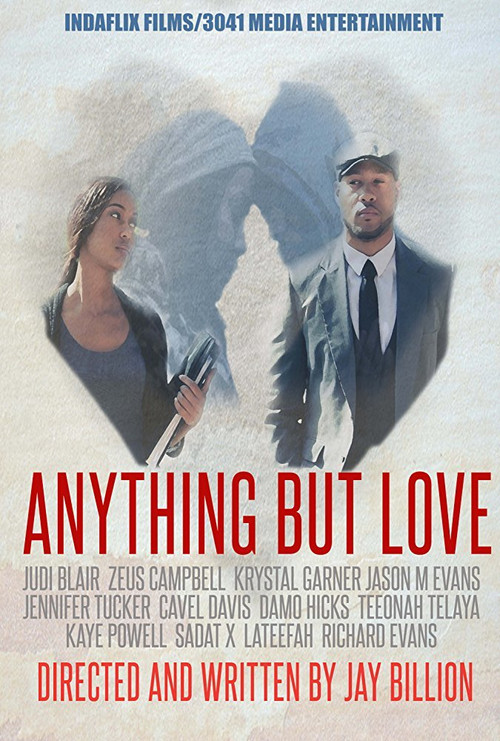 Jay Billion's Anything But Love (2013) poster
