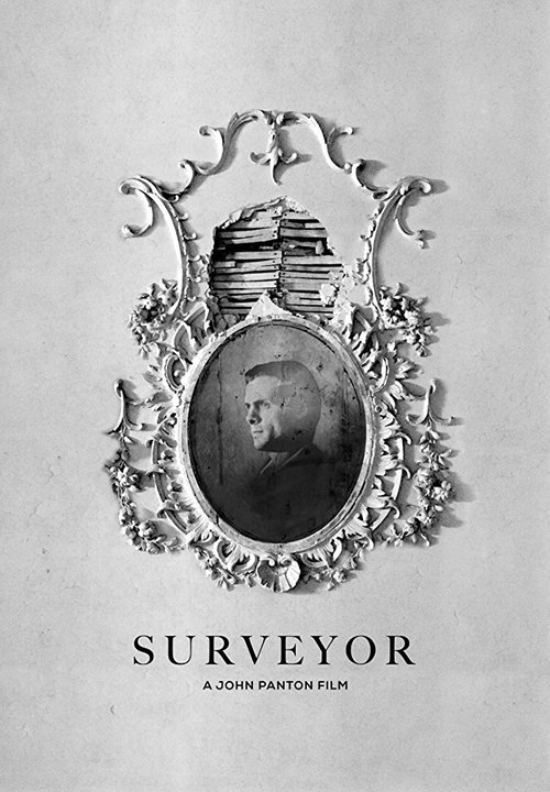 Surveyor (2018) poster