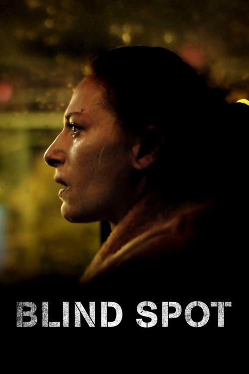 Blind Spot (2018) poster