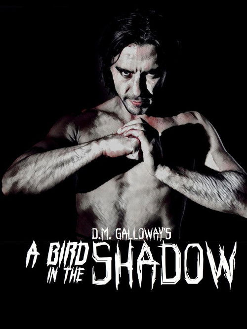 A Bird In The Shadow (2017) poster