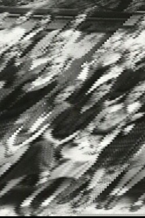 Sonntagskinder (1980) poster