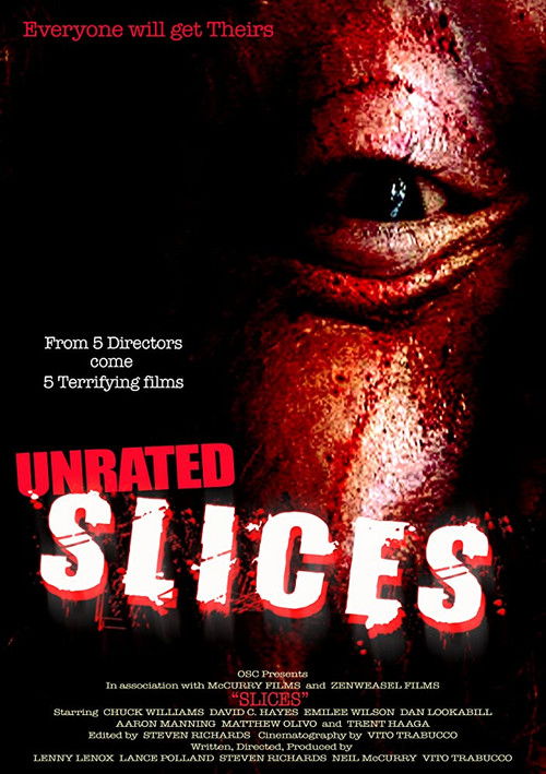 Slices (2008) poster